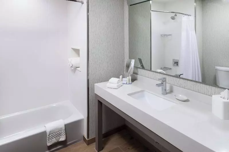 身障者適用スタンダードルーム, Hampton Inn Lordsburg