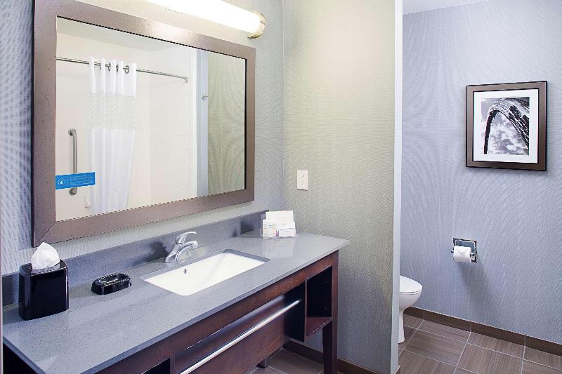 غرفة قياسية سرير كينج, Hampton Inn & Suites Lansing West