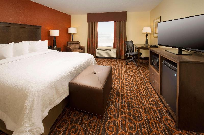스탠다드 룸 킹사이즈 침대, Hampton Inn Temple