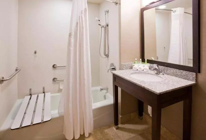 身障者適用キングサイズベッドルーム, Holiday Inn Express & Suites Willmar, An Ihg