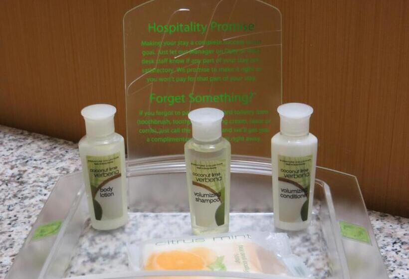 Люкс Кровать Кинг, Holiday Inn Express & Suites Willmar, An Ihg