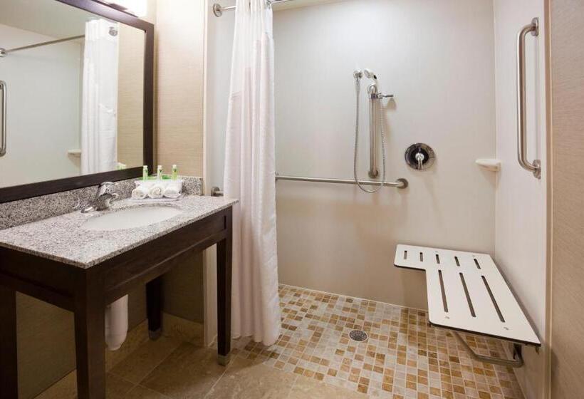 غرفة قياسية سرير كينج لذوى الإحتياجات الخاصة, Holiday Inn Express & Suites Willmar, An Ihg