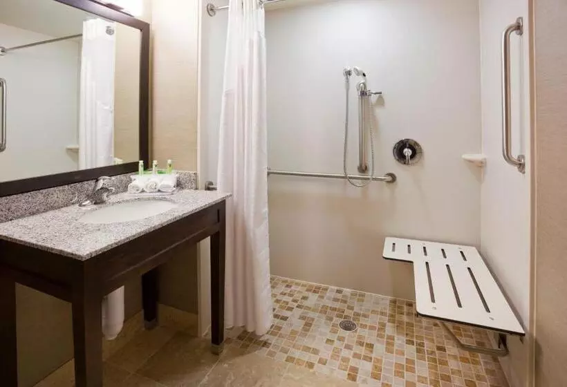 身障者適用キングサイズベッドルーム, Holiday Inn Express & Suites Willmar, An Ihg