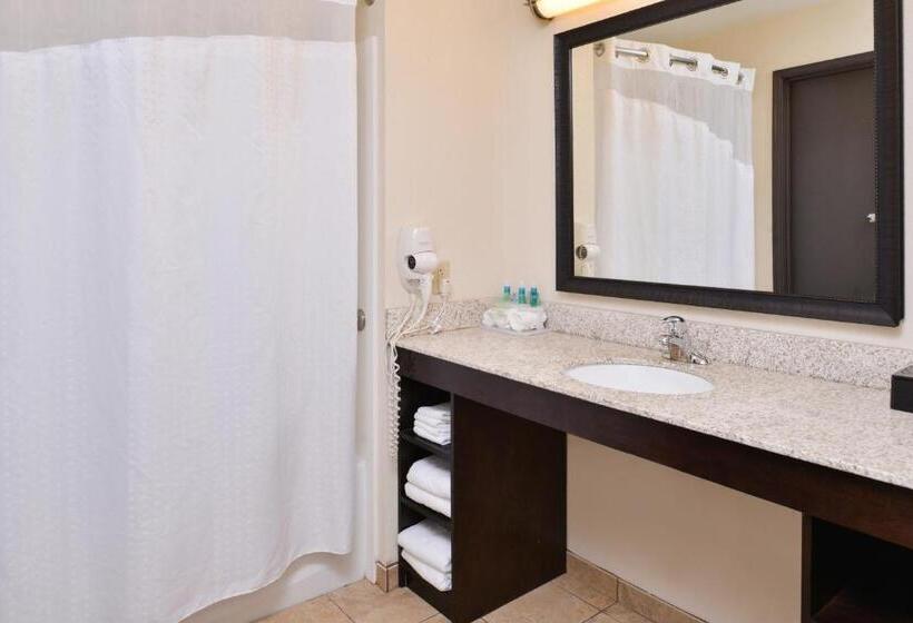 Люкс Адаптированный для Инвалидов, Holiday Inn Express & Suites Emporia Northwest, An Ihg