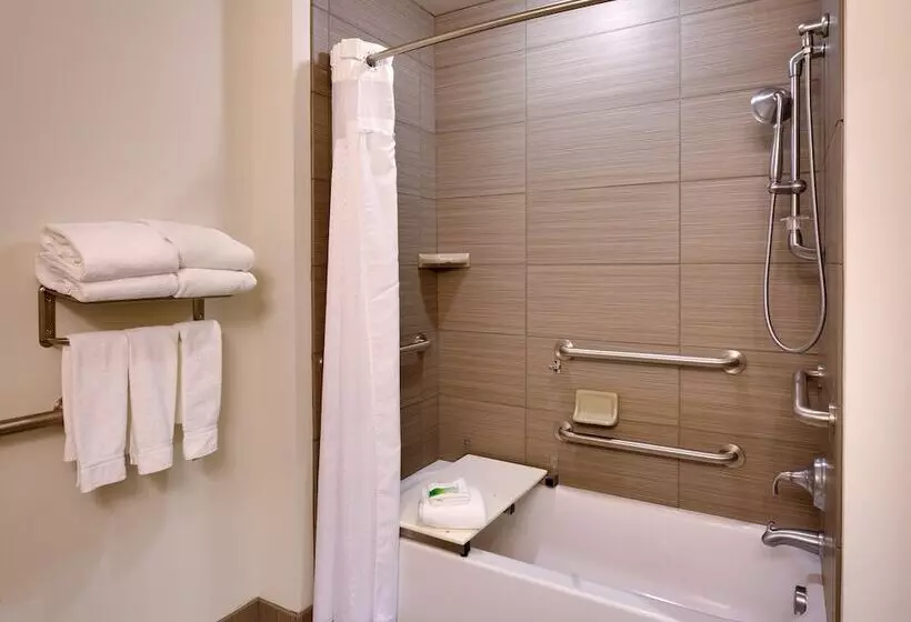 スタンダードルーム, Holiday Inn Express & Suites Overland Park, An Ihg