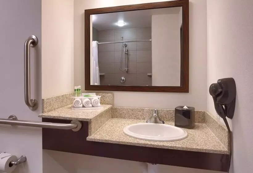 スタンダードルーム, Holiday Inn Express & Suites Overland Park, An Ihg