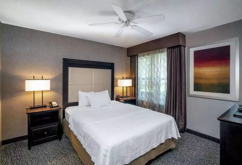 スイート, Home2 Suites By Hilton Rochester Henrietta, Ny