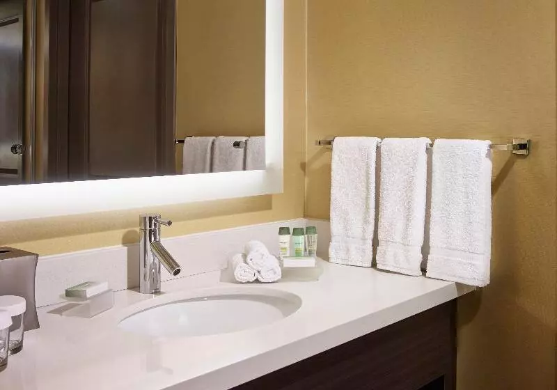 キングサイズベッドのスイートルーム, Homewood Suites By Hilton Hamilton, Ontario, Canada