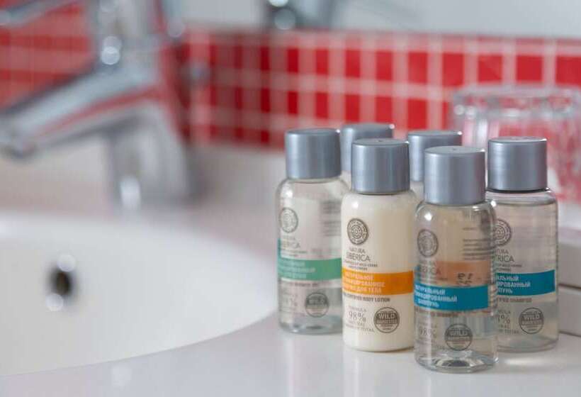 プレミアムルーム, Ibis Moscow Centre Bakhrushina