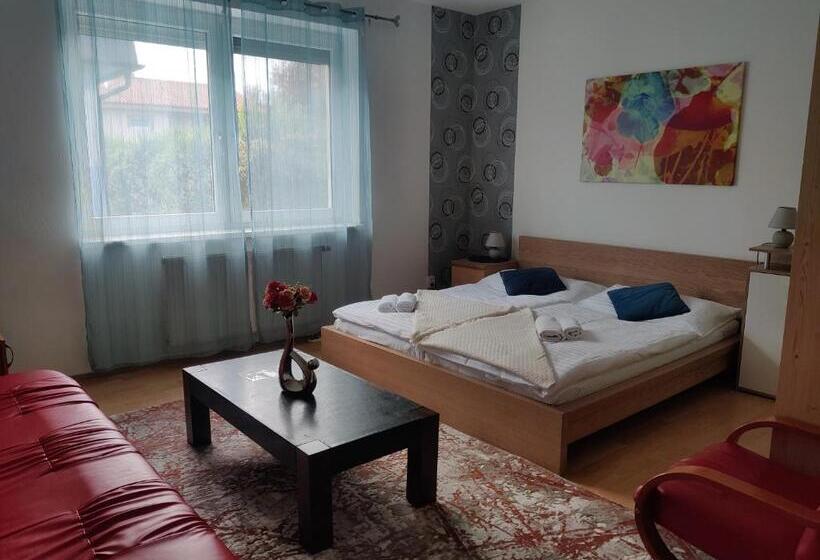 اتاق لوکس, Orlan