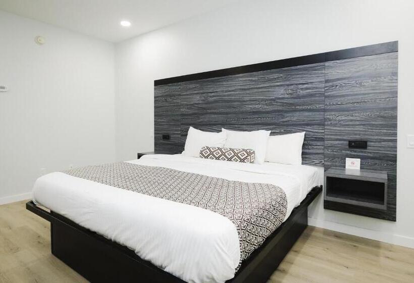 キングサイズベッドのスタンダードルーム, Sapphire Inn And Suites