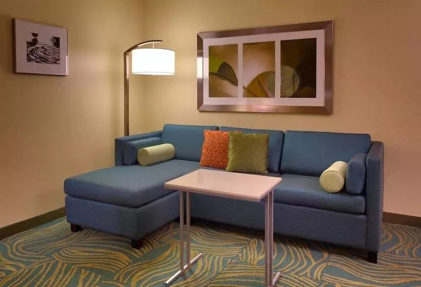 سوییت, Springhill Suites By Marriott Cedar City