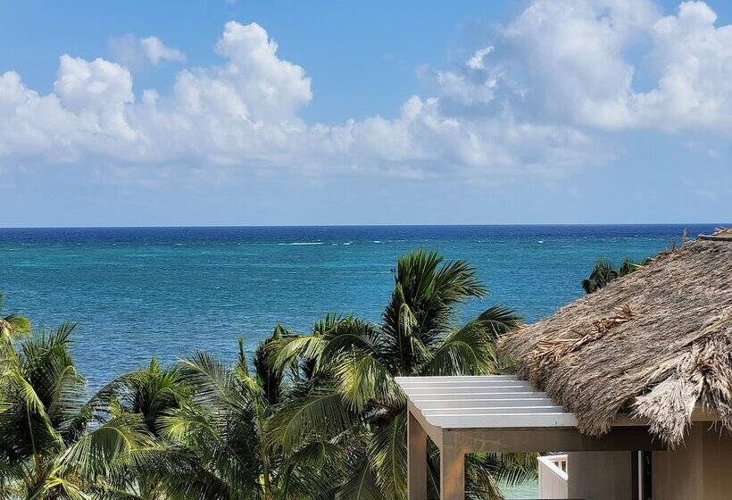 דירת פנטהאוז 1 חדרי שינה, Sapphire Beach Resort