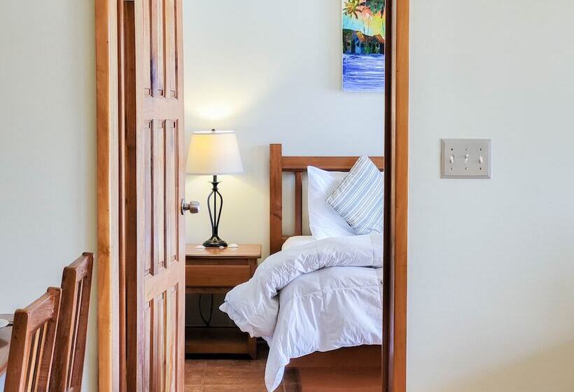 דירת פנטהאוז 1 חדרי שינה, Sapphire Beach Resort