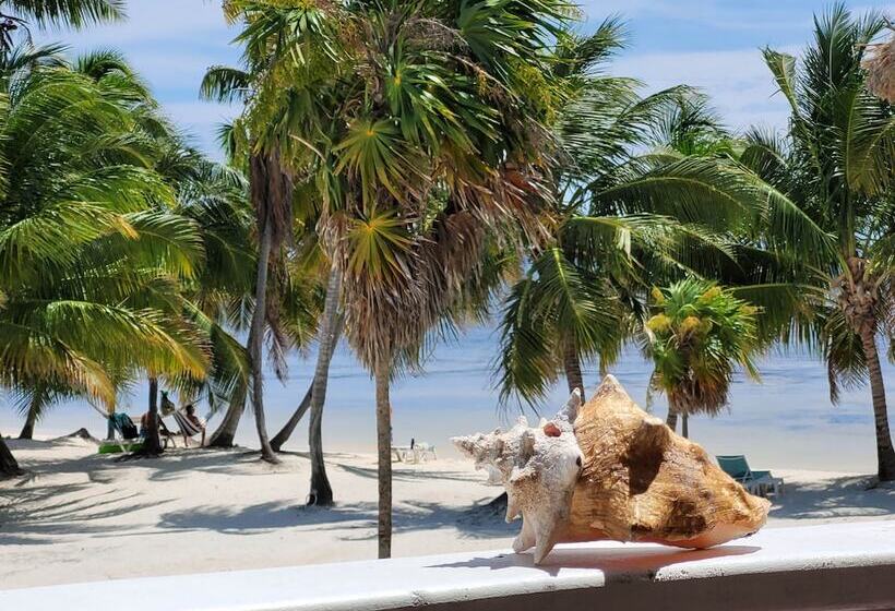 דירת פנטהאוז 1 חדרי שינה, Sapphire Beach Resort