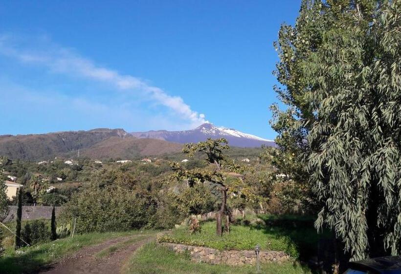 オーシャンビュースタンダードルームバルコニー付き, Alberto S Mt.etna B&b