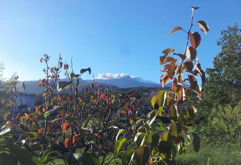 Номер Стандарт Вид на Море с Балконом, Alberto S Mt.etna B&b