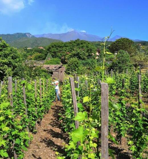 Бунгало Стандарт, Alberto S Mt.etna B&b