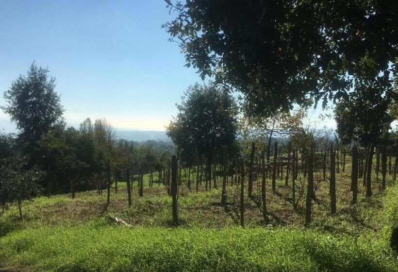 Бунгало Стандарт, Alberto S Mt.etna B&b