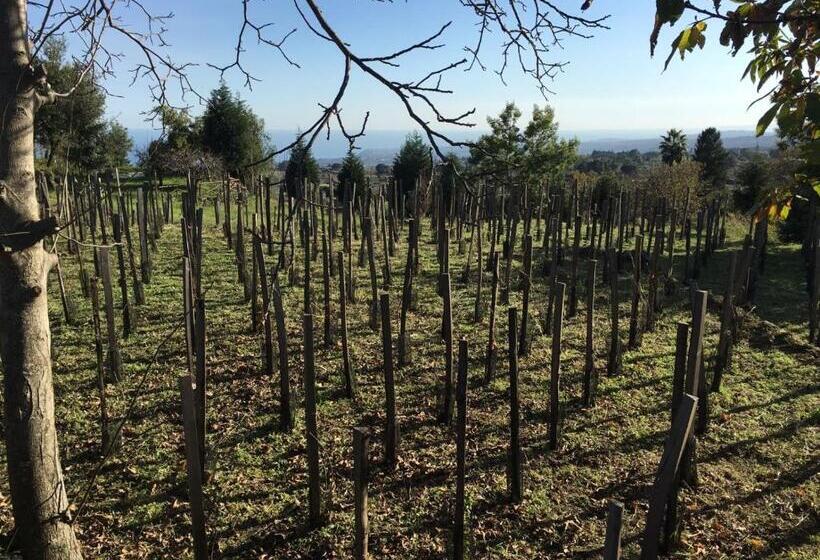 オーシャンビュースタンダードルームバルコニー付き, Alberto S Mt.etna B&b