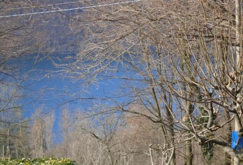 디럭스 룸, Bellavista