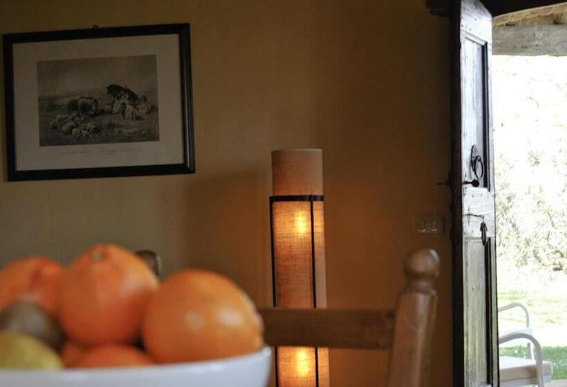 בית, 2 חדרי שינה, Villa Cicolina