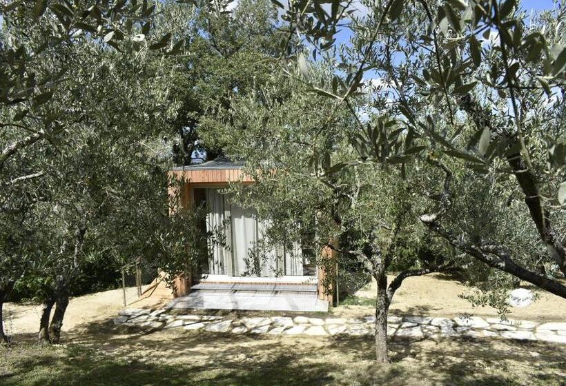 Люкс с Террасой, Villa Cicolina