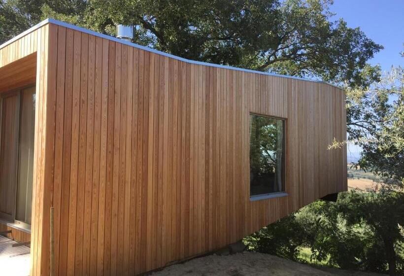 סוויטה עם טרסה, Villa Cicolina