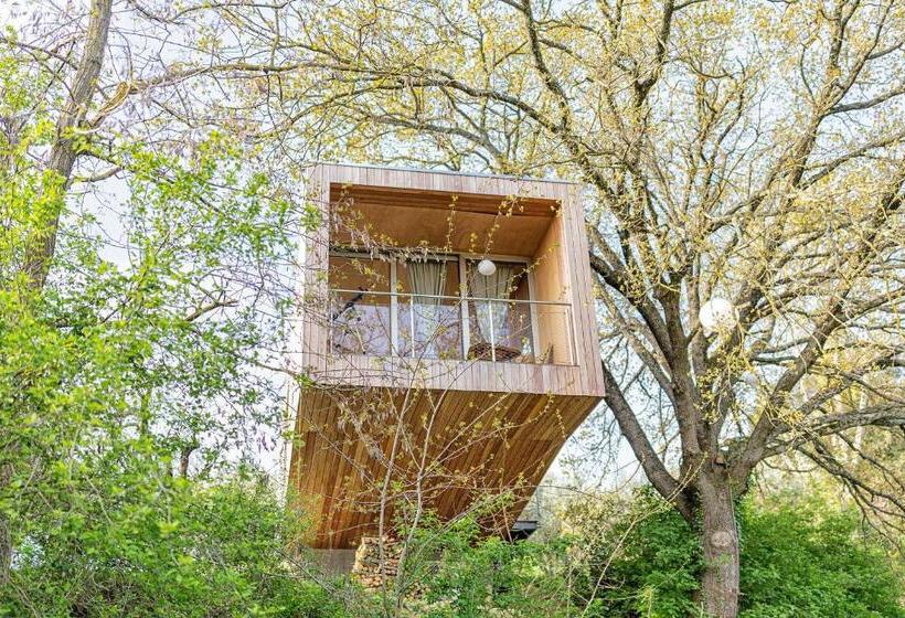 סוויטה עם טרסה, Villa Cicolina