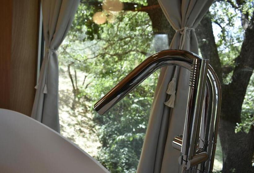 סוויטה עם טרסה, Villa Cicolina