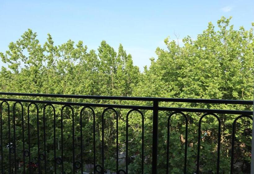 اتاق استاندارد سه نفره, Corallo