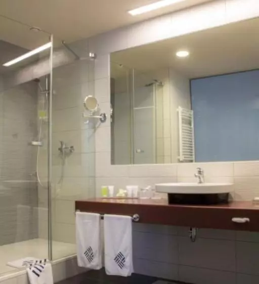 سوئیت اجرایی با مشاهده, Eto Park Hotel Business & Stadium