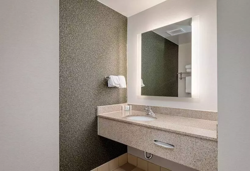 اتاق استاندارد با 2 تخت دوبل, Fairfield Inn & Suites By Marriott Lawton