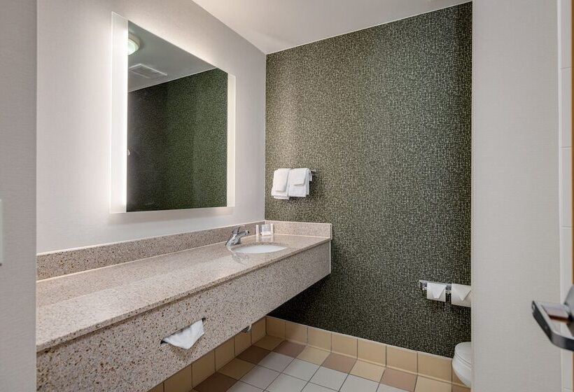 غرفه قياسيه سريرين مزدوجين, Fairfield Inn & Suites By Marriott Lawton