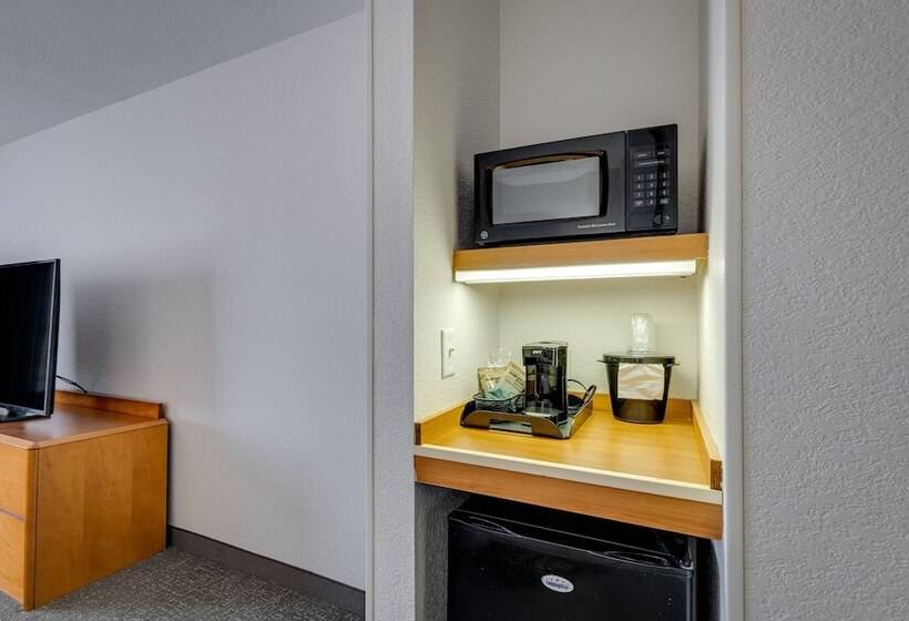 غرفه قياسيه سريرين مزدوجين, Fairfield Inn & Suites By Marriott Lawton