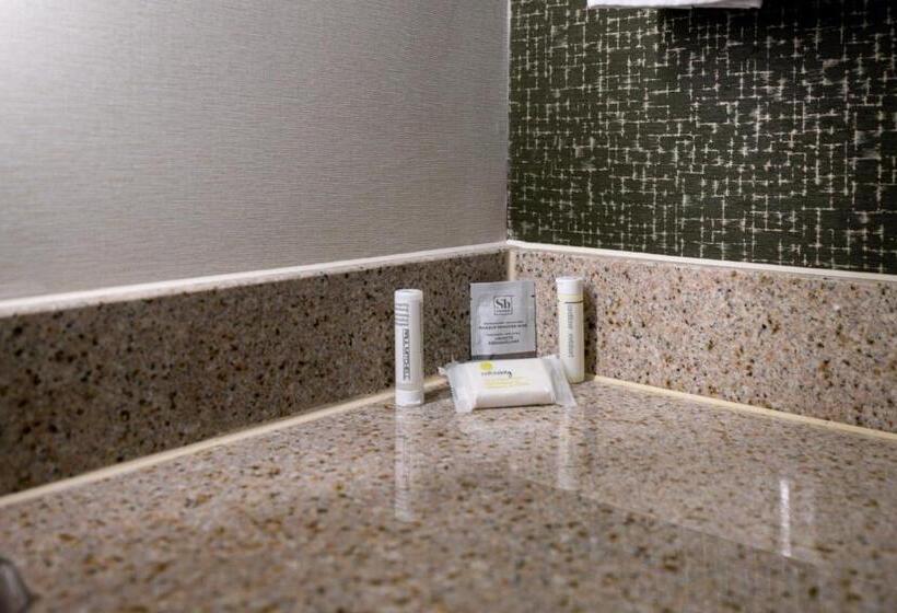 Стандартный Номер Кровать Кинг, Fairfield Inn & Suites By Marriott Lawton