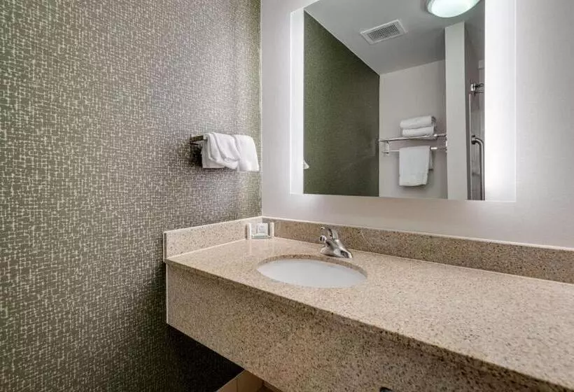 اتاق استاندارد با تخت بزرگ, Fairfield Inn & Suites By Marriott Lawton