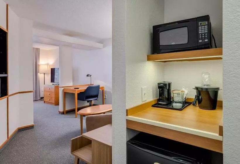 استودیو استاندارد با تخت کینگ, Fairfield Inn & Suites By Marriott Lawton