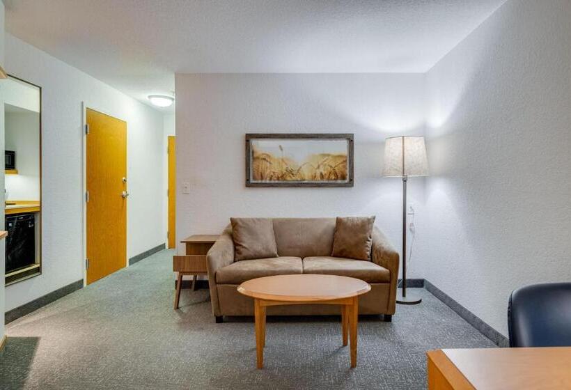Студио Стандарт Кровать Кинг, Fairfield Inn & Suites By Marriott Lawton