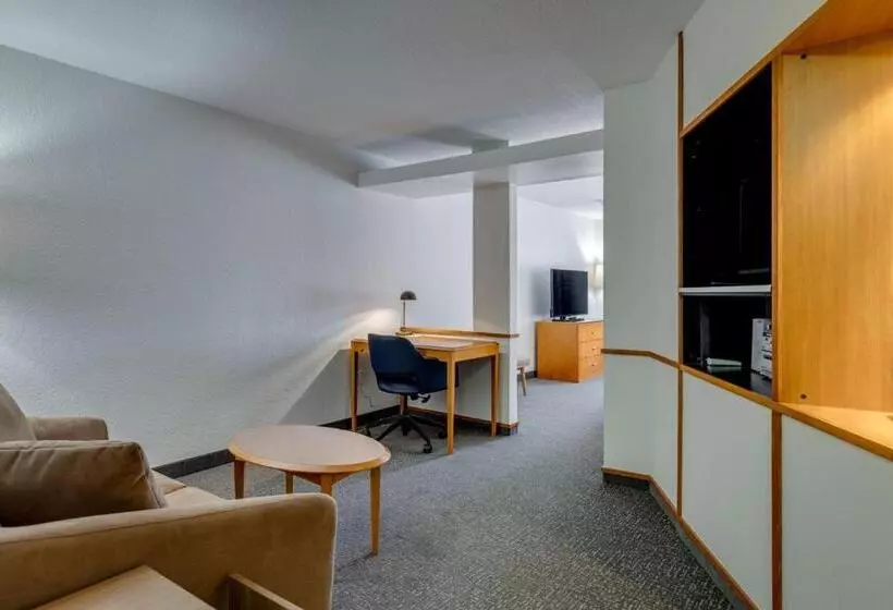 استودیو استاندارد با تخت کینگ, Fairfield Inn & Suites By Marriott Lawton