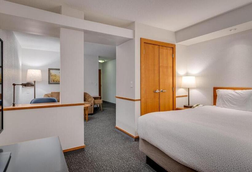 إستوديو قياسى سرير كينج, Fairfield Inn & Suites By Marriott Lawton