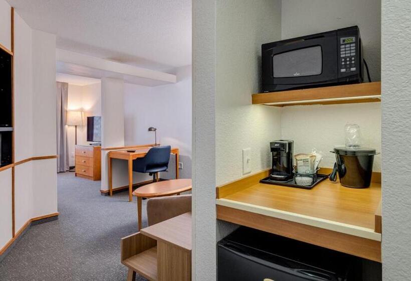 إستوديو قياسى, Fairfield Inn & Suites By Marriott Lawton