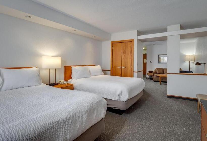 Студия Стандарт, Fairfield Inn & Suites By Marriott Lawton