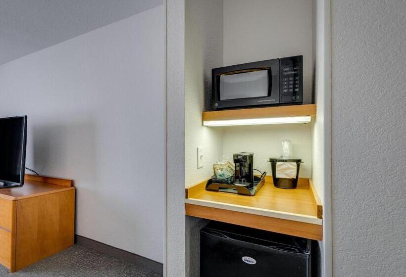 غرفة قياسية, Fairfield Inn & Suites By Marriott Lawton