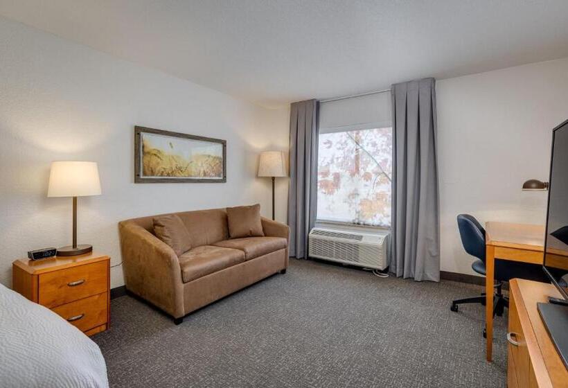 غرفة قياسية, Fairfield Inn & Suites By Marriott Lawton