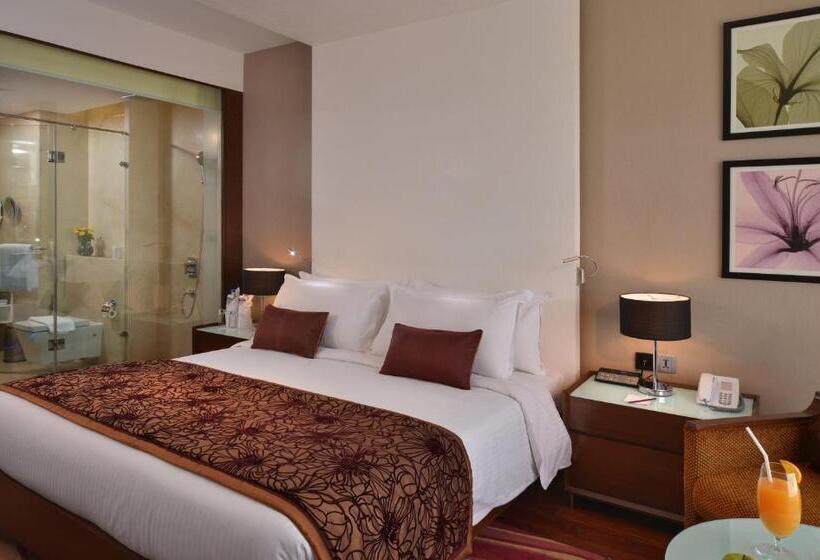 高级大房间, Holiday Inn Chandigarh Panchkula, An Ihg