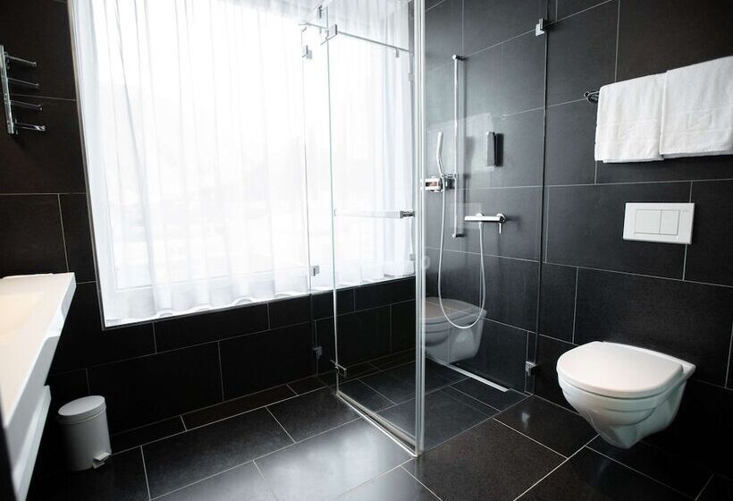 חדר דלוקס, Mercure Chur City West