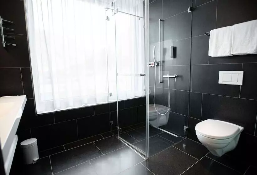 デラックスルーム, Mercure Chur City West