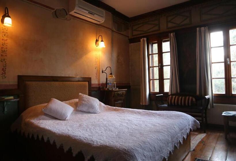 חדר סטנדרט, Nisanyan