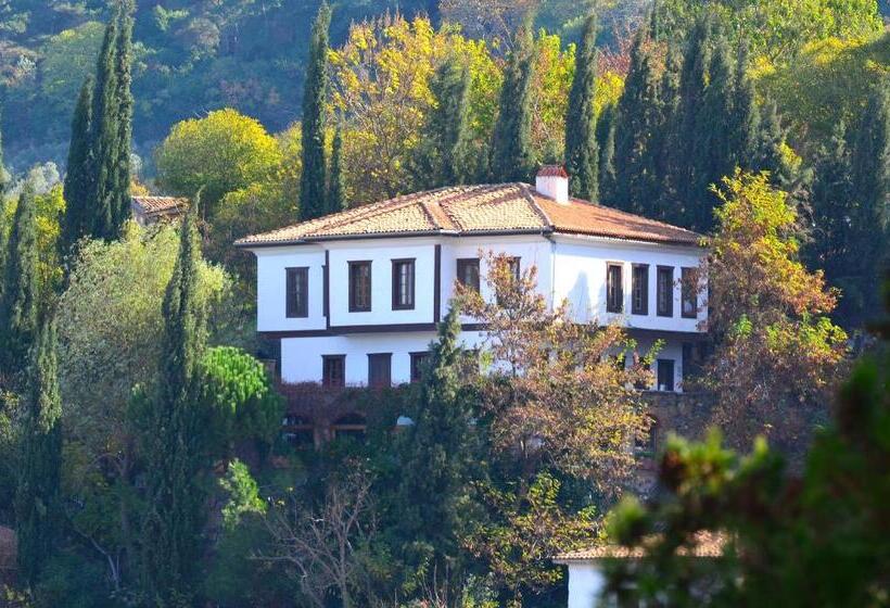 스탠다드 룸, Nisanyan